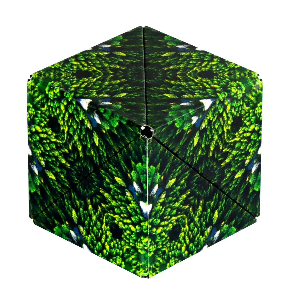 Shashibo R4