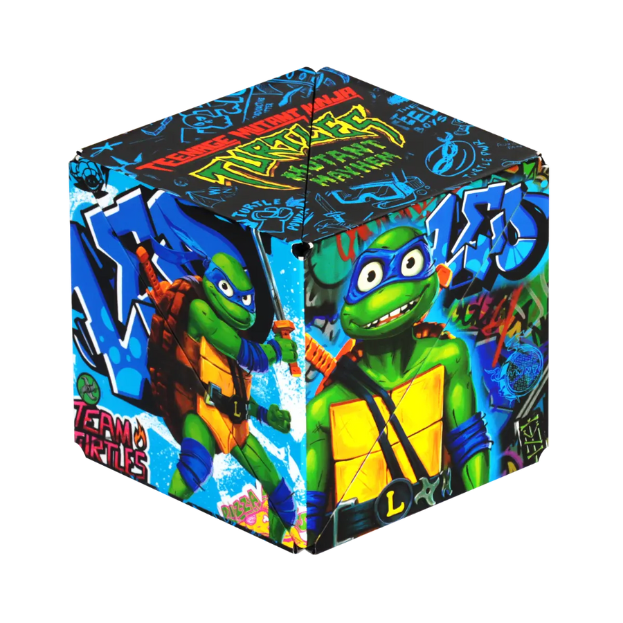 TMNT Series Y8
