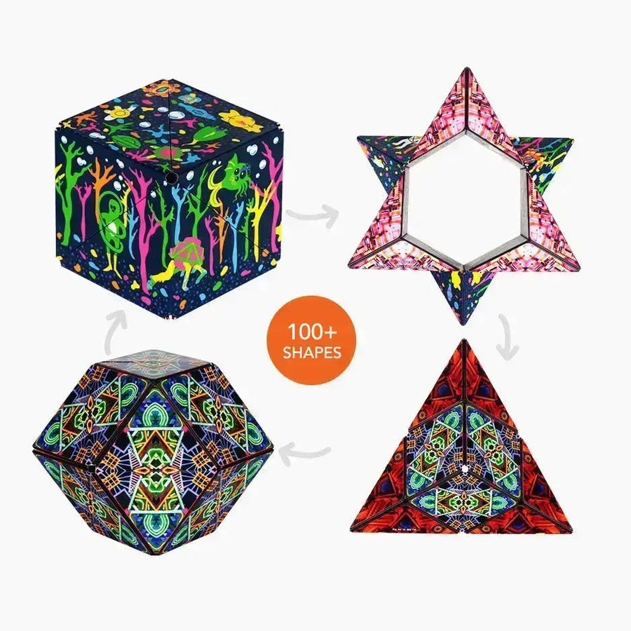 Meow Wolf Series E1