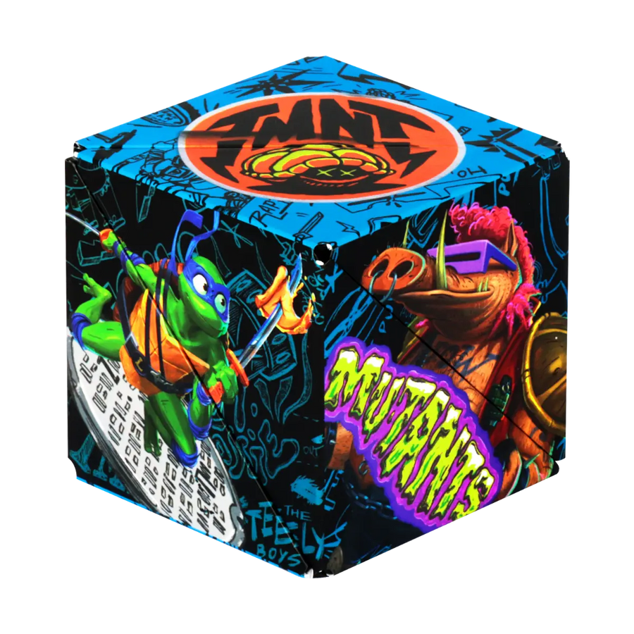 TMNT Series Y8